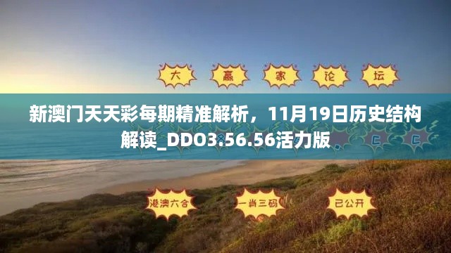 新澳门天天彩每期精准解析，11月19日历史结构解读_DDO3.56.56活力版