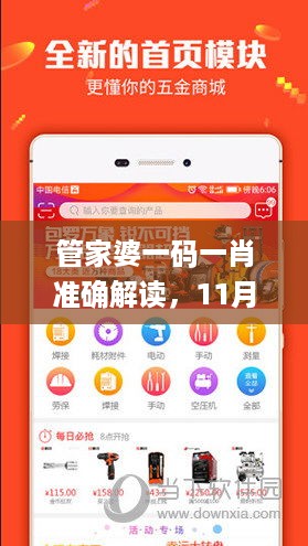管家婆一码一肖准确解读，11月19日项目详解_VPK9.51.36桌面版