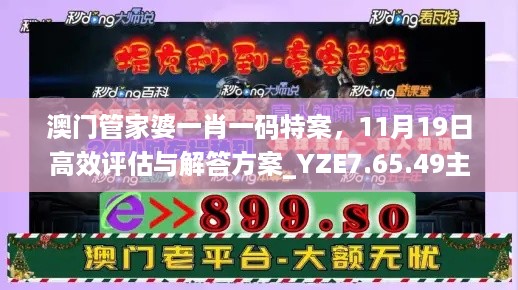 澳门管家婆一肖一码特案，11月19日高效评估与解答方案_YZE7.65.49主力版