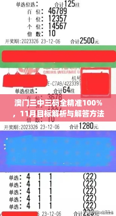 澳门三中三码全精准100%，11月目标解析与解答方法_SEB2.12.58便携版