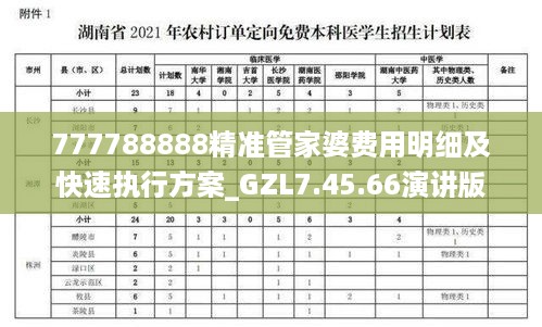 777788888精准管家婆费用明细及快速执行方案_GZL7.45.66演讲版