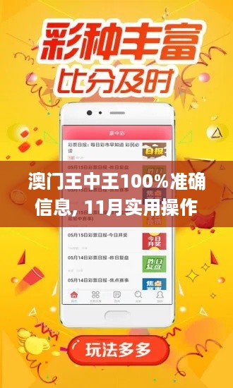 澳门王中王100%准确信息, 11月实用操作方案_EYA9.44.78网页版