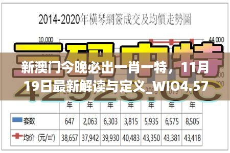 新澳门今晚必出一肖一特，11月19日最新解读与定义_WIO4.57.85便携版