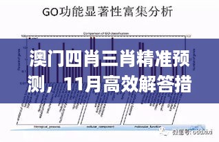 澳门四肖三肖精准预测，11月高效解答措施实施_RNA1.68.33Phablet