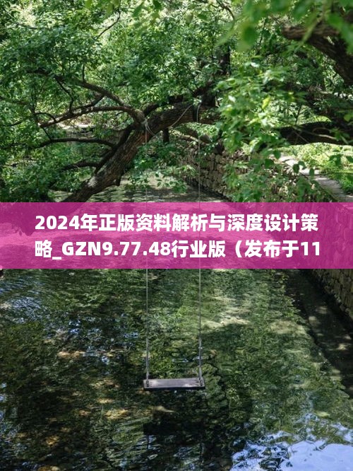 2024年正版资料解析与深度设计策略_GZN9.77.48行业版（发布于11月19日）