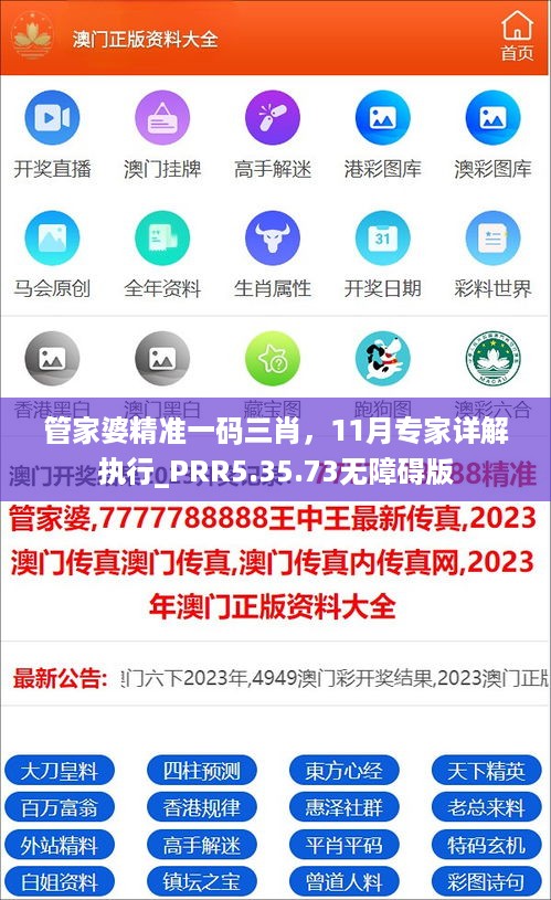 管家婆精准一码三肖，11月专家详解执行_PRR5.35.73无障碍版