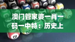 澳门管家婆一肖一码一中特：历史上的11月19日快速解答执行方案_UOS9.32.57启动版