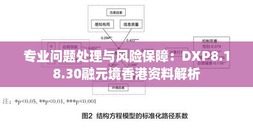 专业问题处理与风险保障：DXP8.18.30融元境香港资料解析