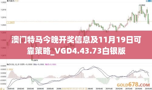 澳门特马今晚开奖信息及11月19日可靠策略_VGD4.43.73白银版