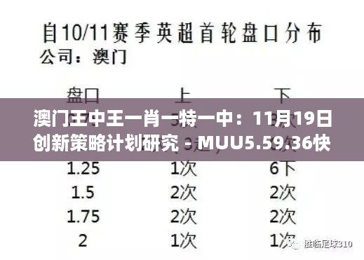 澳门王中王一肖一特一中：11月19日创新策略计划研究 - MUU5.59.36快速版