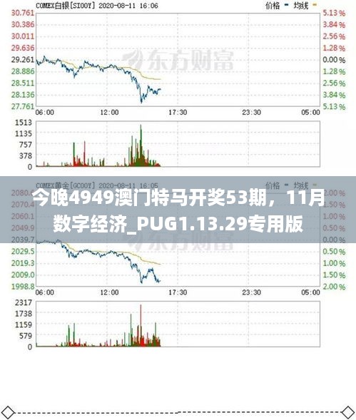 今晚4949澳门特马开奖53期，11月数字经济_PUG1.13.29专用版