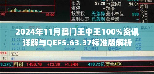 2024年11月澳门王中王100%资讯详解与QEF5.63.37标准版解析