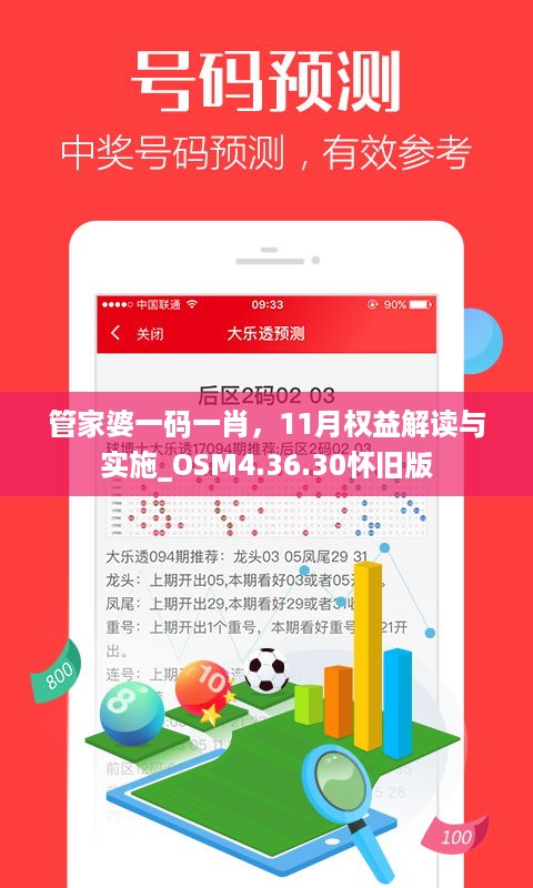 管家婆一码一肖，11月权益解读与实施_OSM4.36.30怀旧版