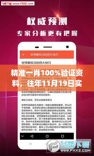 精准一肖100%验证资料，往年11月19日实地考察方案_DNO3.42.61专家版