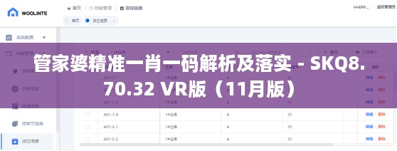 管家婆精准一肖一码解析及落实 - SKQ8.70.32 VR版（11月版）