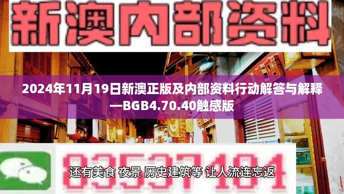 2024年11月19日新澳正版及内部资料行动解答与解释—BGB4.70.40触感版