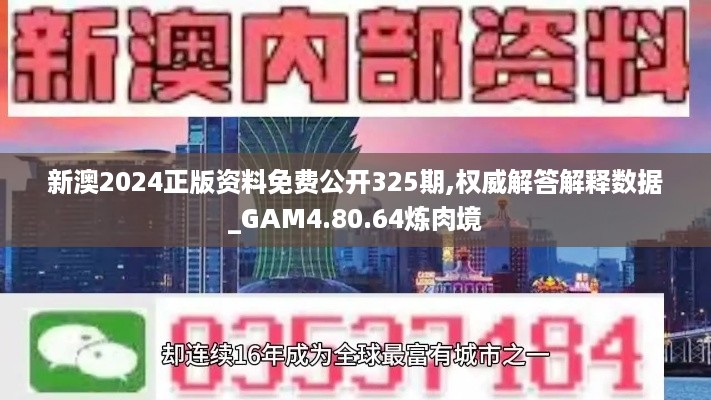 新澳2024正版资料免费公开325期,权威解答解释数据_GAM4.80.64炼肉境