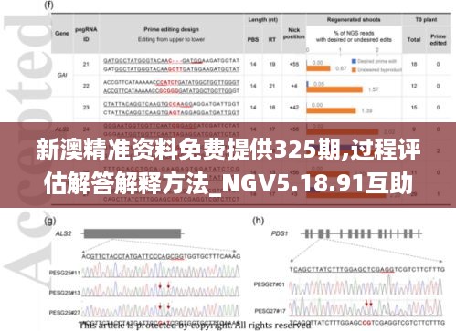 新澳精准资料免费提供325期,过程评估解答解释方法_NGV5.18.91互助版