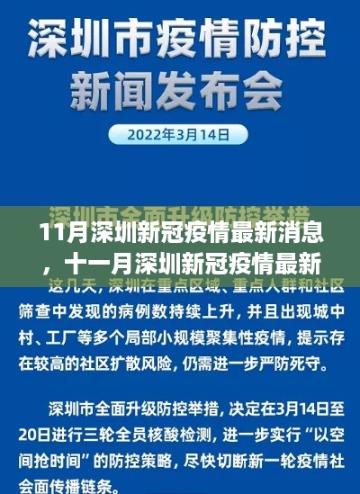 深圳新冠疫情最新动态，全面防控与积极应对（十一月最新消息）