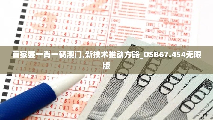 管家婆一肖一码澳门,新技术推动方略_OSB67.454无限版