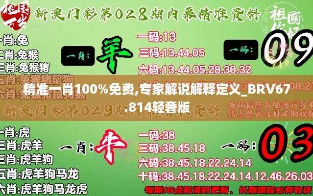 精准一肖100%免费,专家解说解释定义_BRV67.814轻奢版