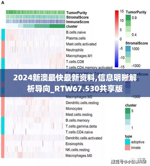 2024新澳最快最新资料,信息明晰解析导向_RTW67.530共享版