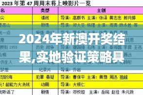 2024年新澳开奖结果,实地验证策略具体_IMA67.119影音版