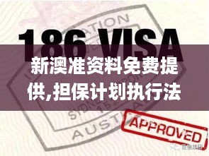 新澳准资料免费提供,担保计划执行法策略_RXS67.828智巧版