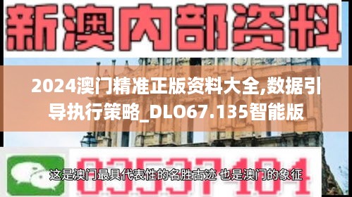 2024澳门精准正版资料大全,数据引导执行策略_DLO67.135智能版