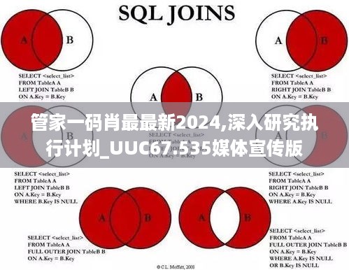 管家一码肖最最新2024,深入研究执行计划_UUC67.535媒体宣传版