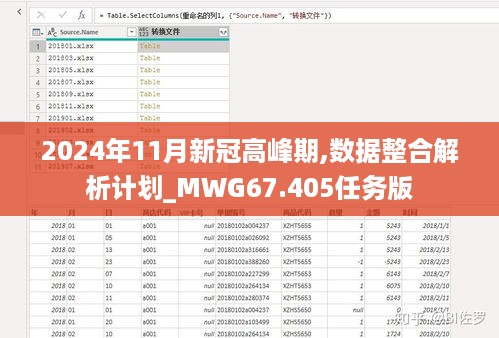 2024年11月新冠高峰期,数据整合解析计划_MWG67.405任务版