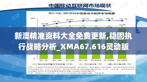 新澳精准资料大全免费更新,稳固执行战略分析_XMA67.616灵动版