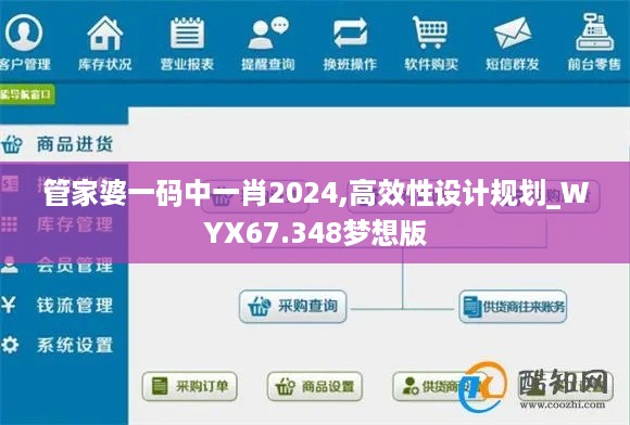 管家婆一码中一肖2024,高效性设计规划_WYX67.348梦想版