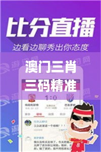 澳门三肖三码精准100%管家婆,高效性设计规划_LYD67.813触控版