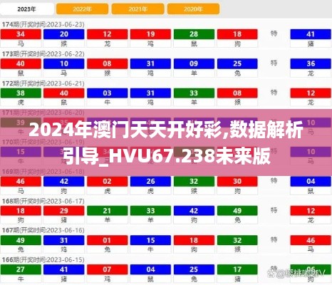 2024年澳门天天开好彩,数据解析引导_HVU67.238未来版