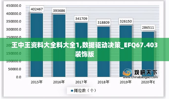 王中王资料大全料大全1,数据驱动决策_EFQ67.403装饰版