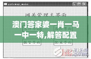 澳门答家婆一肖一马一中一特,解答配置方案_VTU67.734内容版