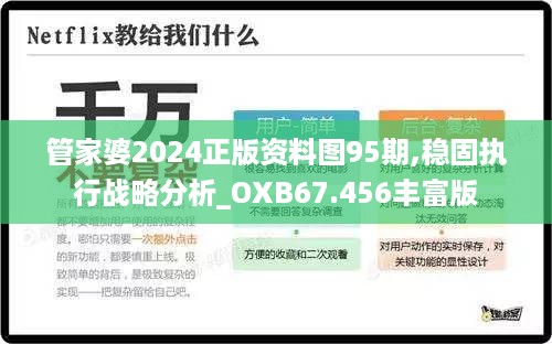 管家婆2024正版资料图95期,稳固执行战略分析_OXB67.456丰富版