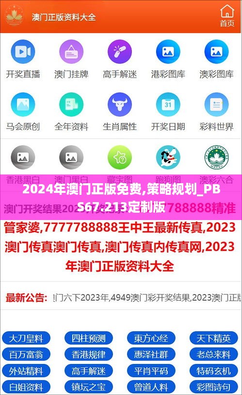 2024年澳门正版免费,策略规划_PBS67.213定制版