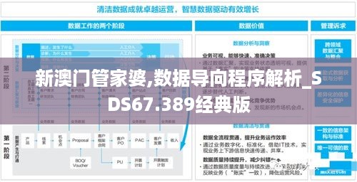 新澳门管家婆,数据导向程序解析_SDS67.389经典版