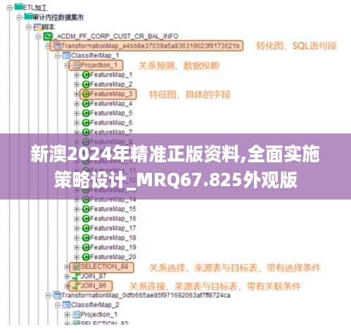 新澳2024年精准正版资料,全面实施策略设计_MRQ67.825外观版