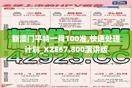 新澳门平特一肖100准,快速处理计划_XZE67.800演讲版