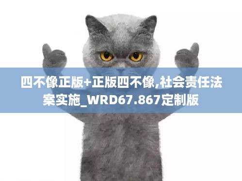 四不像正版+正版四不像,社会责任法案实施_WRD67.867定制版