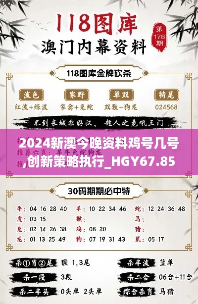 2024新澳今晚资料鸡号几号,创新策略执行_HGY67.859活动版