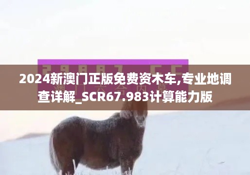 2024新澳门正版免费资木车,专业地调查详解_SCR67.983计算能力版