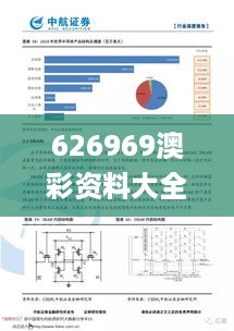 626969澳彩资料大全24期,网络安全架构_RXB67.742学习版