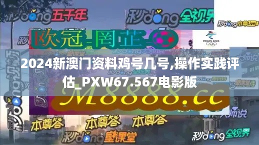 2024新澳门资料鸡号几号,操作实践评估_PXW67.567电影版