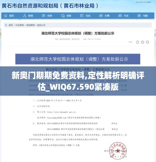 新奥门期期免费资料,定性解析明确评估_WIQ67.590紧凑版
