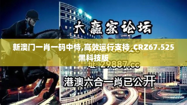 新澳门一肖一码中恃,高效运行支持_CRZ67.525黑科技版