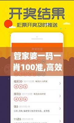 管家婆一码一肖100准,高效性设计规划_YVY67.632性能版